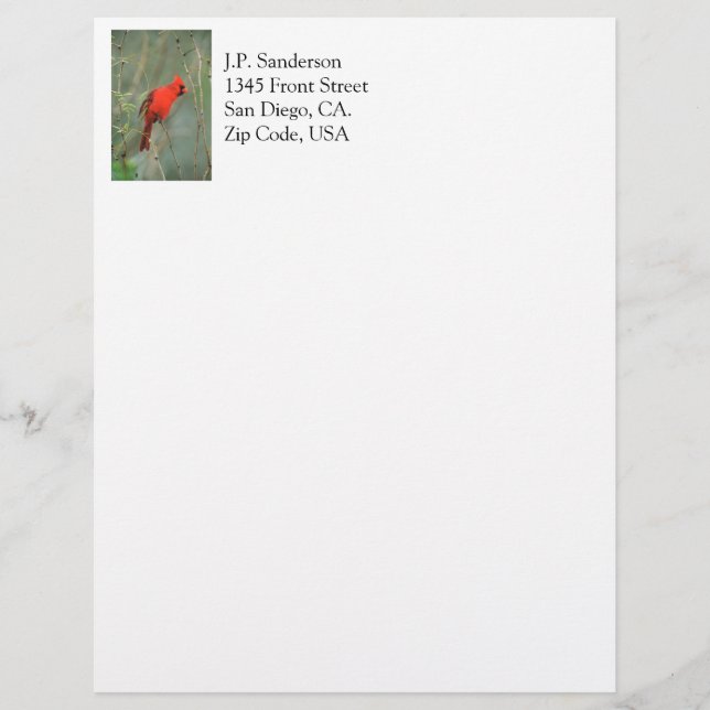 Cardinal Bird Photo Letterhead (Front)