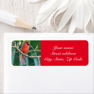 Cardinal bird return address label Personalize