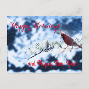 Cardinal Bird Snowy Branch Post Card