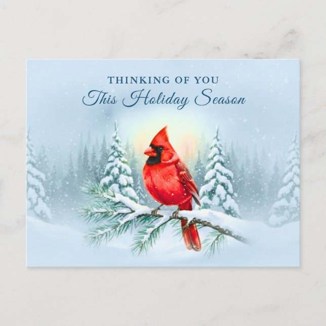 Cardinal Bird Sympathy Condolence Christmas Winter Holiday Postcard (Front)