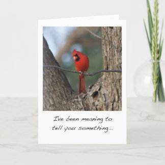 Cardinal Bird Valentine's Day Card