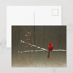 Cardinal Bird Winter Berry Tree Postcard