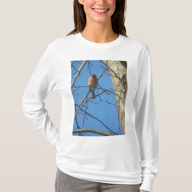 Cardinal Birds T-Shirt (Front)