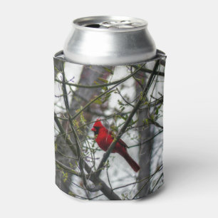 Cardinal Can Cooler