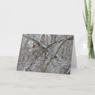 Cardinal Card