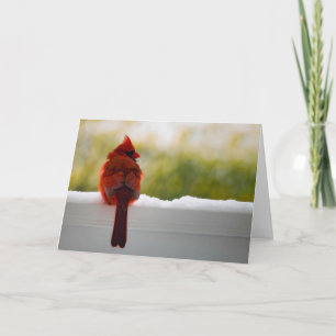 Cardinal Card