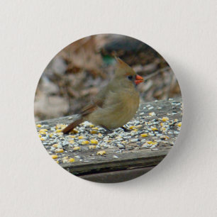 Cardinal (Cardinalis cardinalis) Female Songbird 2 Inch Round Button