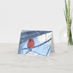 Cardinal carte pour notes