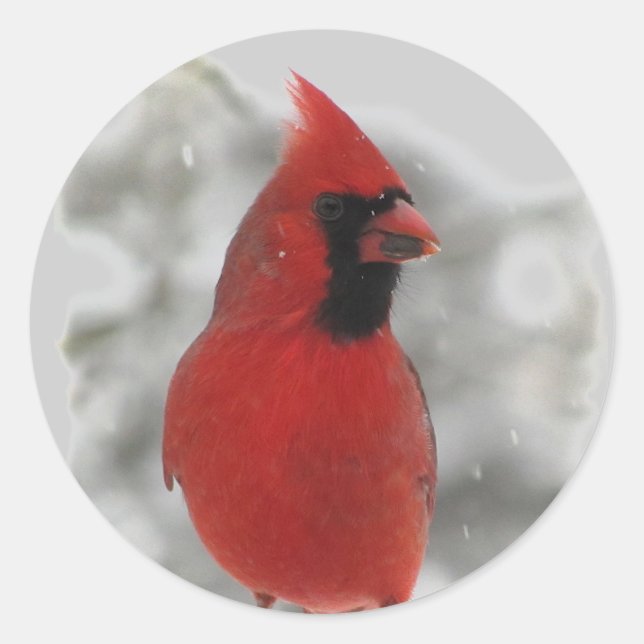 Cardinal Classic Round Sticker (Front)