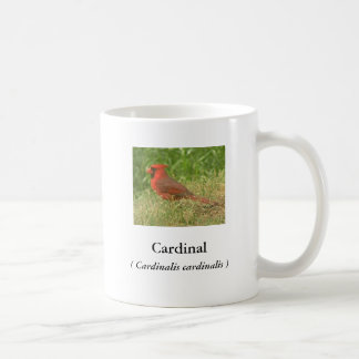 Cardinal Coffee Mug