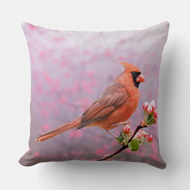 Cardinal Coussin (Recto)