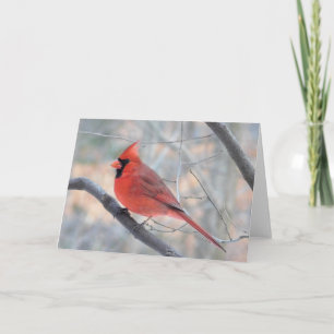 Cardinal Creek Profil Carte de voeux