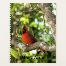 Cardinal dans l'arbre Personnalisé