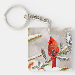 Cardinal dans un pin