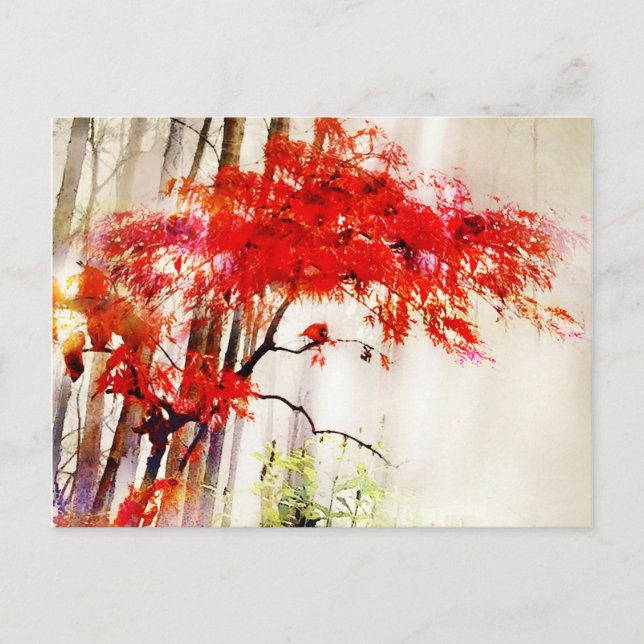 Cardinal d'automne, érable rouge japonais, carte p (Devant)