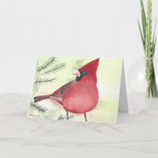 Cardinal de Noël en pins carte de voeux