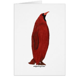 Cardinal de pingouin (mâle)