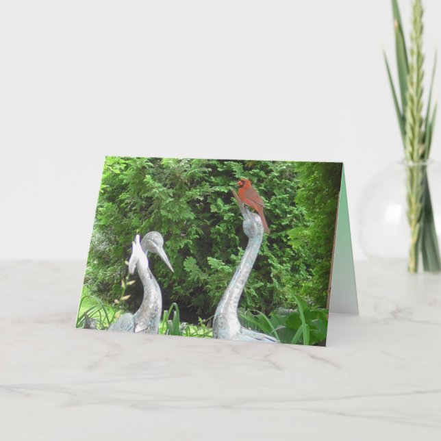 Cardinal debout sur Pelicans Carte vierge (Devant)
