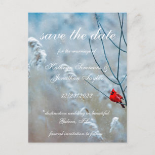 Cardinal d'hiver enregistrer la date Invitation