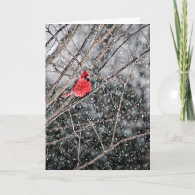 Cardinal d'hiver et carte de voeux de neige (Devant)