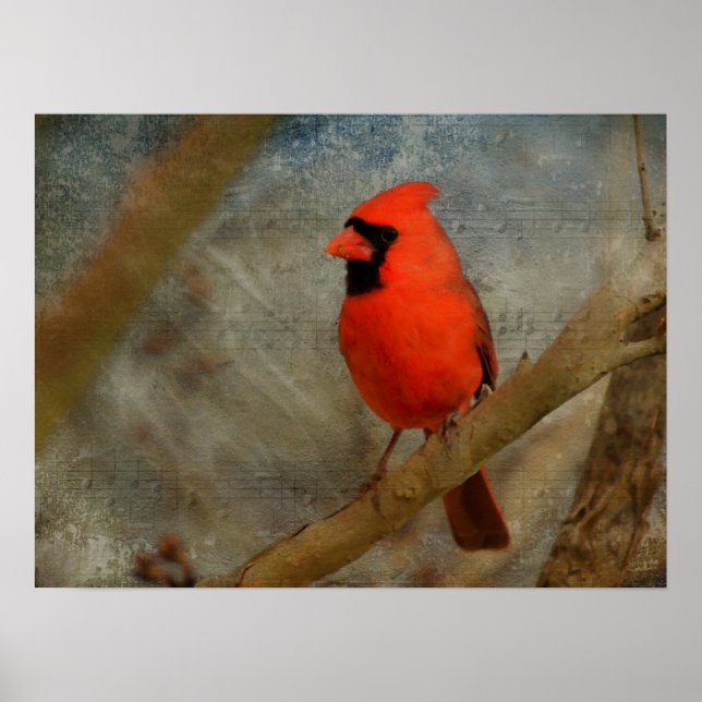 Cardinal Digital Art Poster (Front)