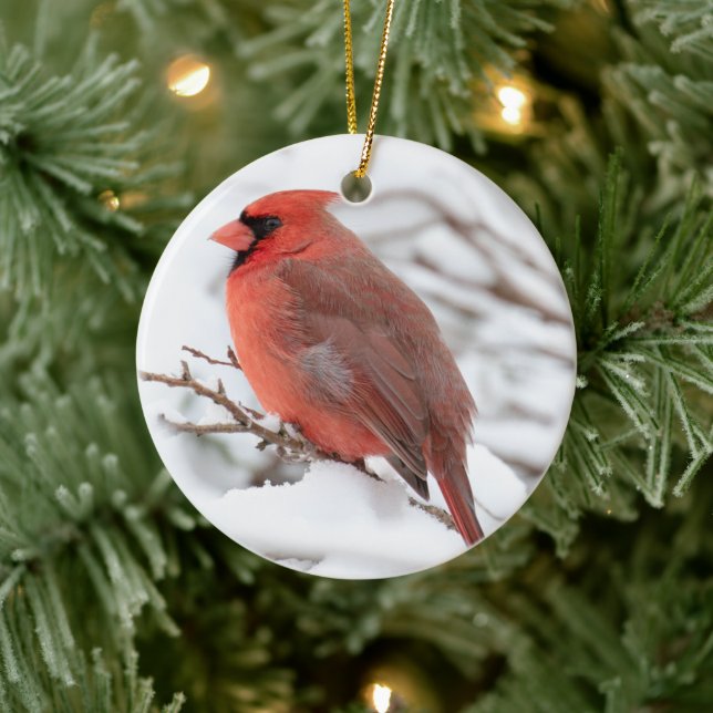 Cardinal du Nord (mâle) | Ornement en céramique (Arbre)