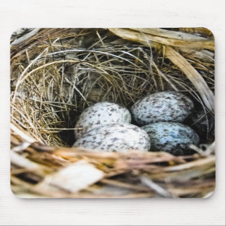 Cardinal Egg Mousepad