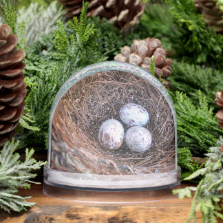 Cardinal Eggs Snow Globe