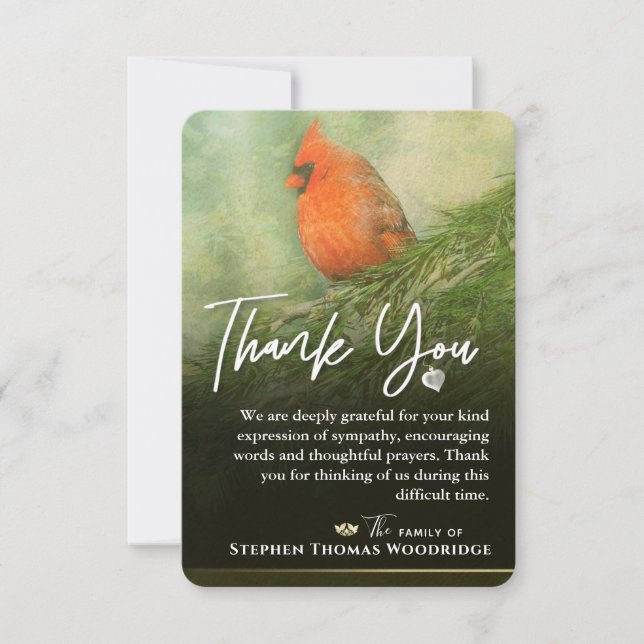 Cardinal en épinette 3,5 x 5 Carte de remerciement (Devant)