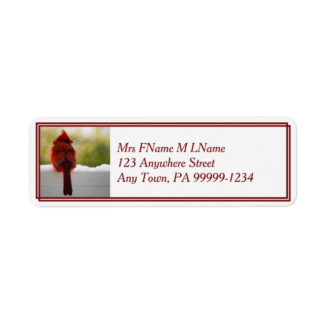 Cardinal En Neige (Devant)