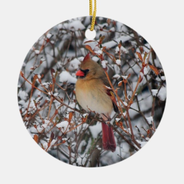 Cardinal en ornement de neige (Devant)