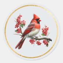 Cardinal Envelope Closure Seals