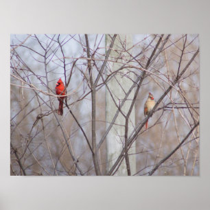 Cardinal family poster