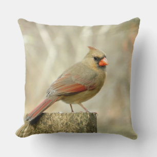 Cardinal (Femme) sur le Coussin postal