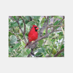 Cardinal Fleece Blanket