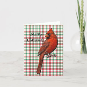 Cardinal Folded Holiday Card