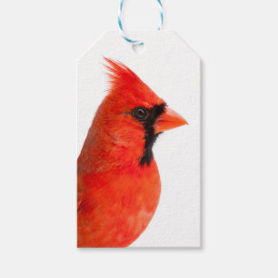 Cardinal Gift Tags