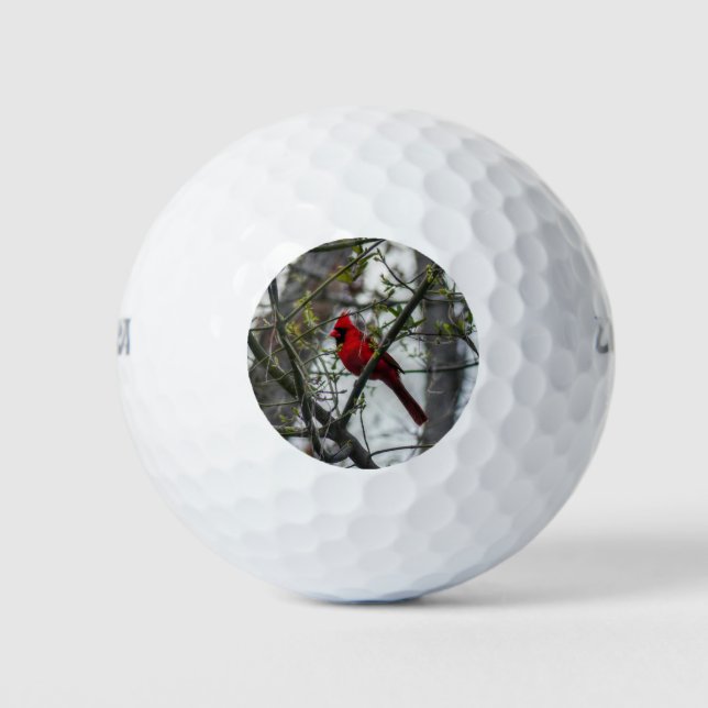 Cardinal Golf Balls (Front)