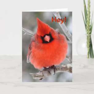 Cardinal Greeting Card 2