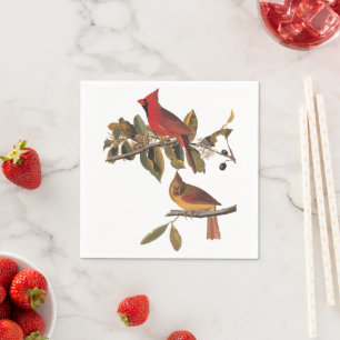 Cardinal Grosbeak Audubon Birds of America Napkin