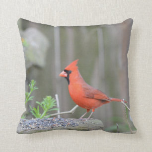 Cardinal guarding its stash! throw pillow