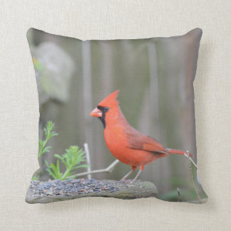 Cardinal guarding its stash! throw pillow