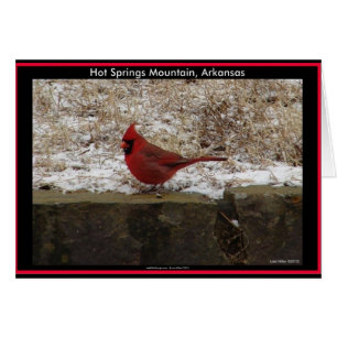 Cardinal Hot Springs Nat. Cadeaux AR Park Mountain