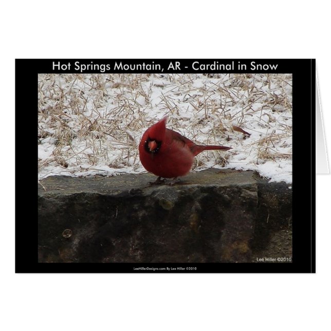 Cardinal Hot Springs Nat. Park Mt AR Gifts Apparel (Front Horizontal)