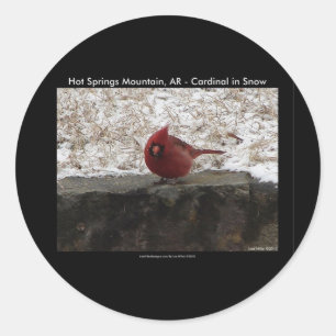 Cardinal Hot Springs Nat. Park Mt AR Gifts Apparel Classic Round Sticker