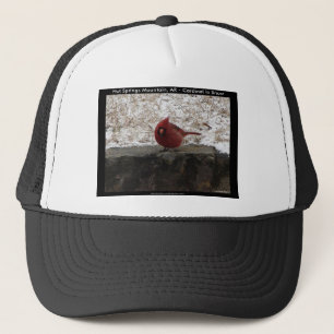 Cardinal Hot Springs Nat. Park Mt AR Gifts Apparel Trucker Hat