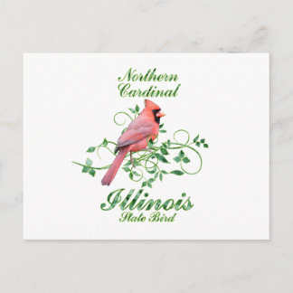 Cardinal Illinois State Bird Postcard