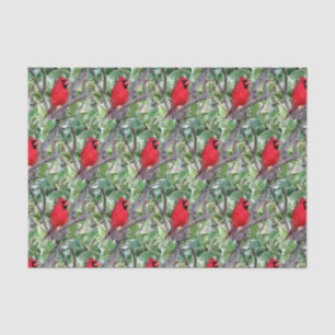 Cardinal in a Lemon Tree 2 - Tissue Paper