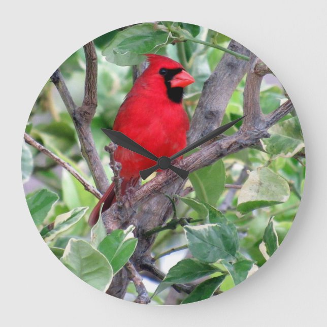 Cardinal in a Lemon Tree - Backyard Bird Clock (Front)