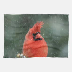 Cardinal in a pine tree during a snow storm kitchen towel